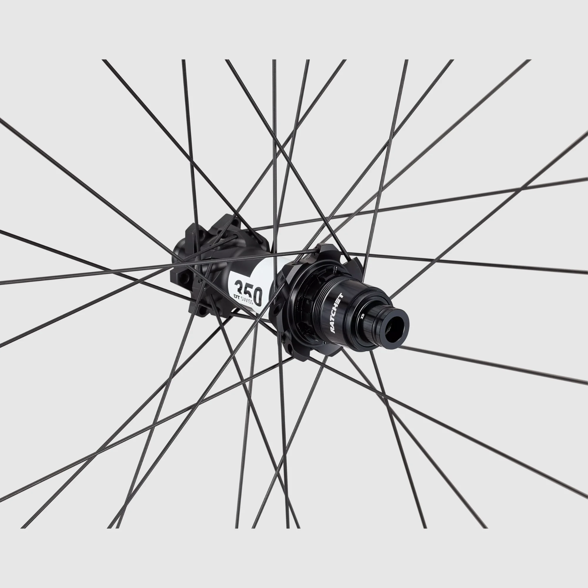 30121-120_WHL_CONTROL-29-6B-FRONT-BLK-CHAR_REAR-HUB roval control alloy 350 6b