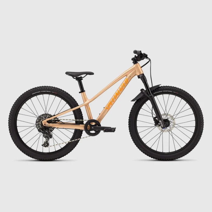 riprock comp 24 gloss photon tint over flake silver / orange zest, 24